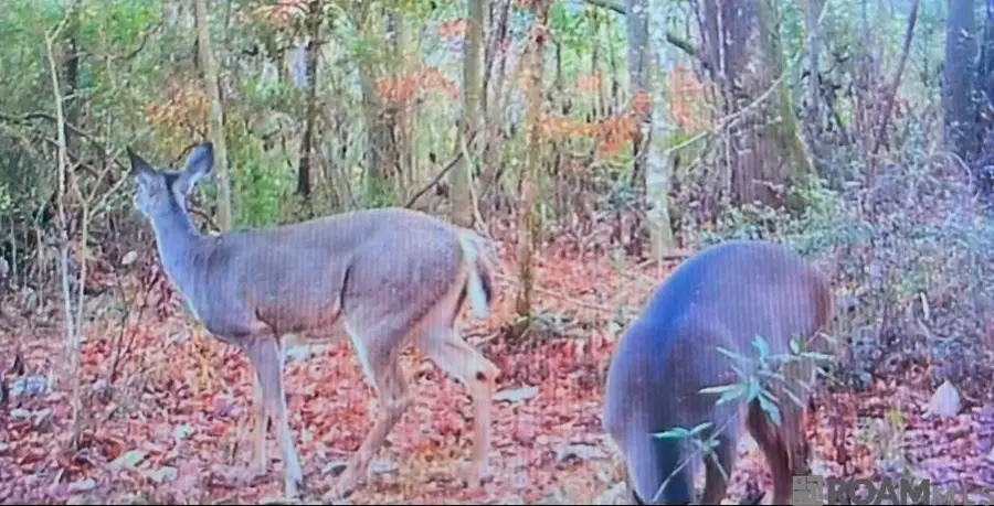#2