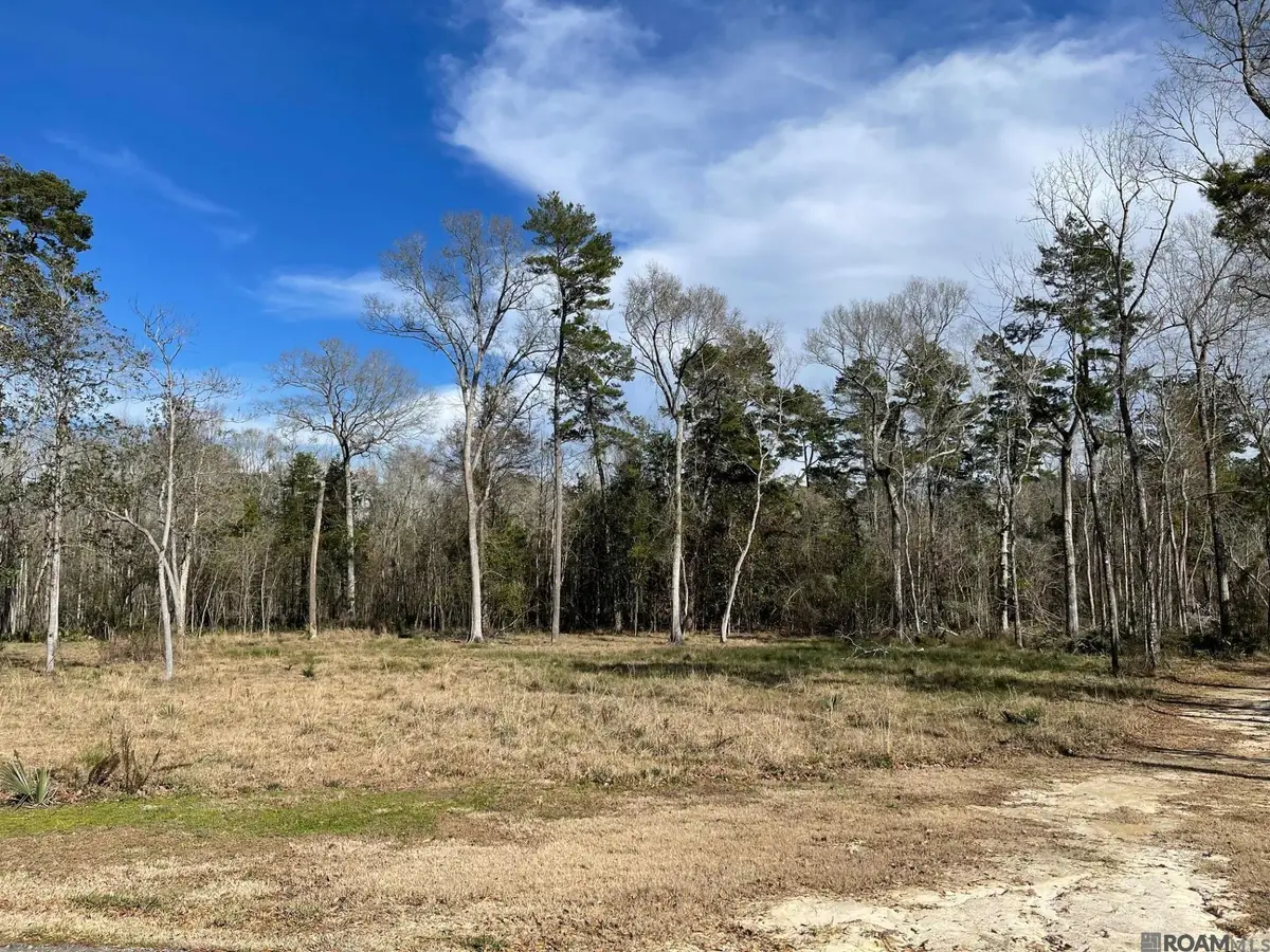 Lot 8 Ridgeway Ave, Denham Springs, LA 70726 - #1