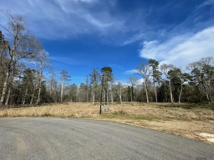 Lot 8 Ridgeway Ave, Denham Springs, LA 70726 - #3