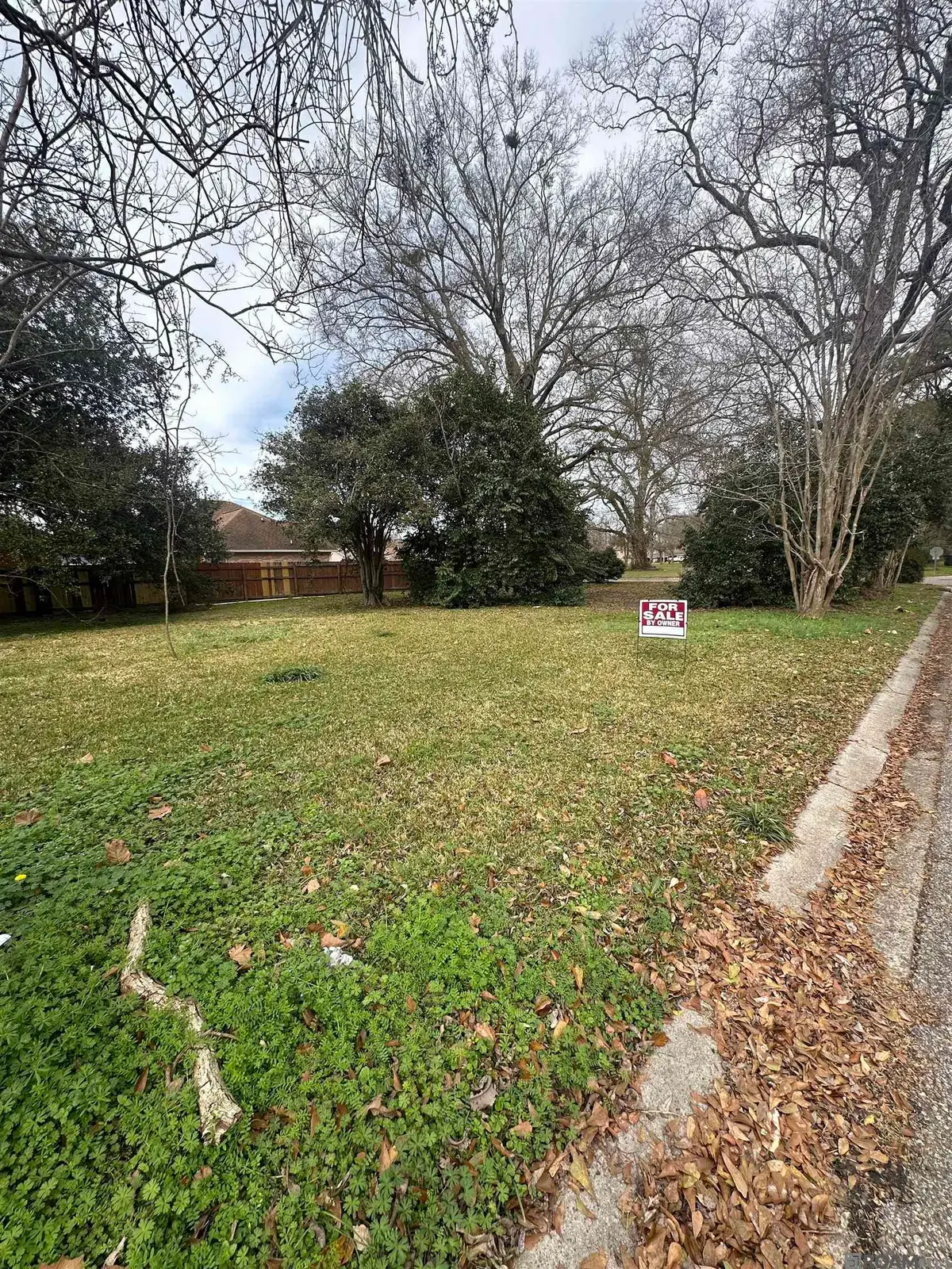 23450 Rich St, Plaquemine, LA 70764 - #1