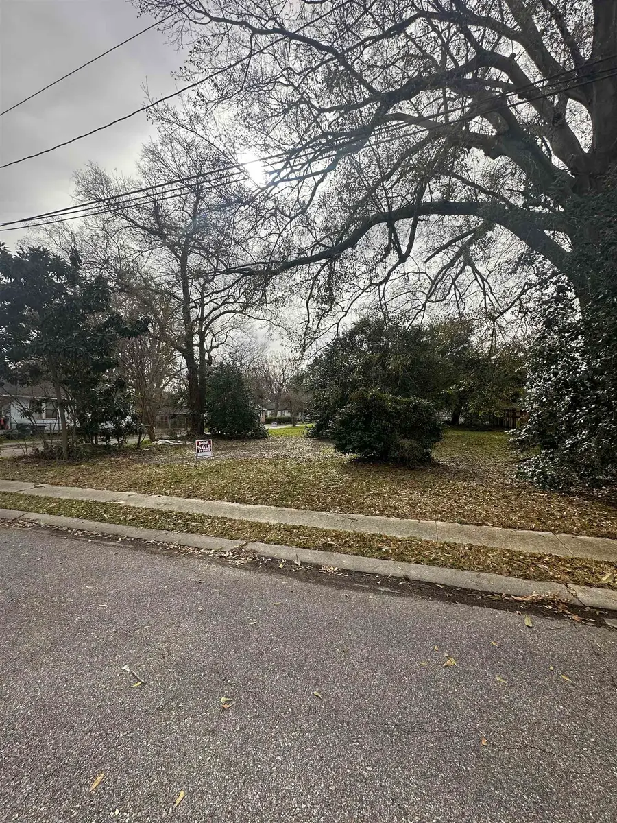 23450 Rich St, Plaquemine, LA 70764 - #2