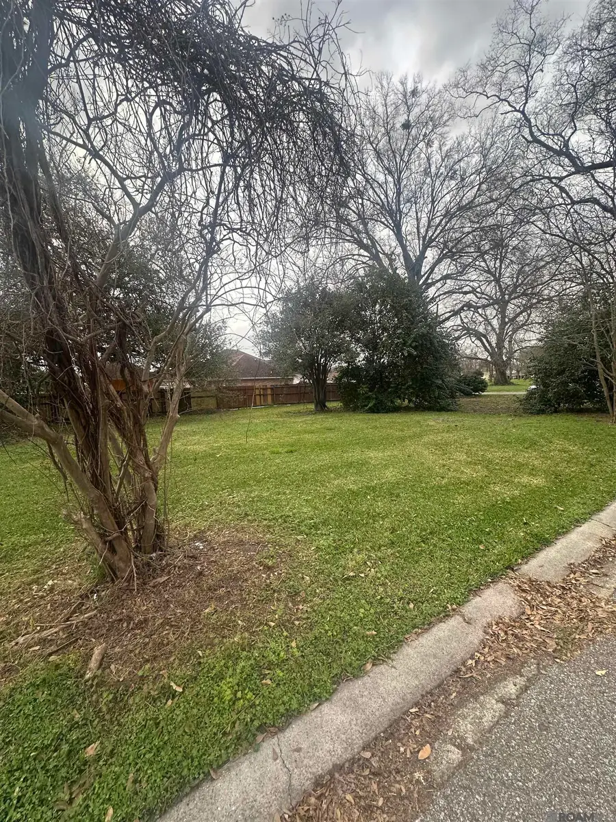 23450 Rich St, Plaquemine, LA 70764 - #3