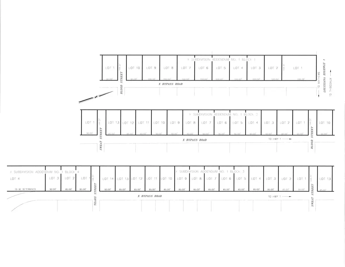 318 X Bypass Road, Raceland, LA 70394 - #1