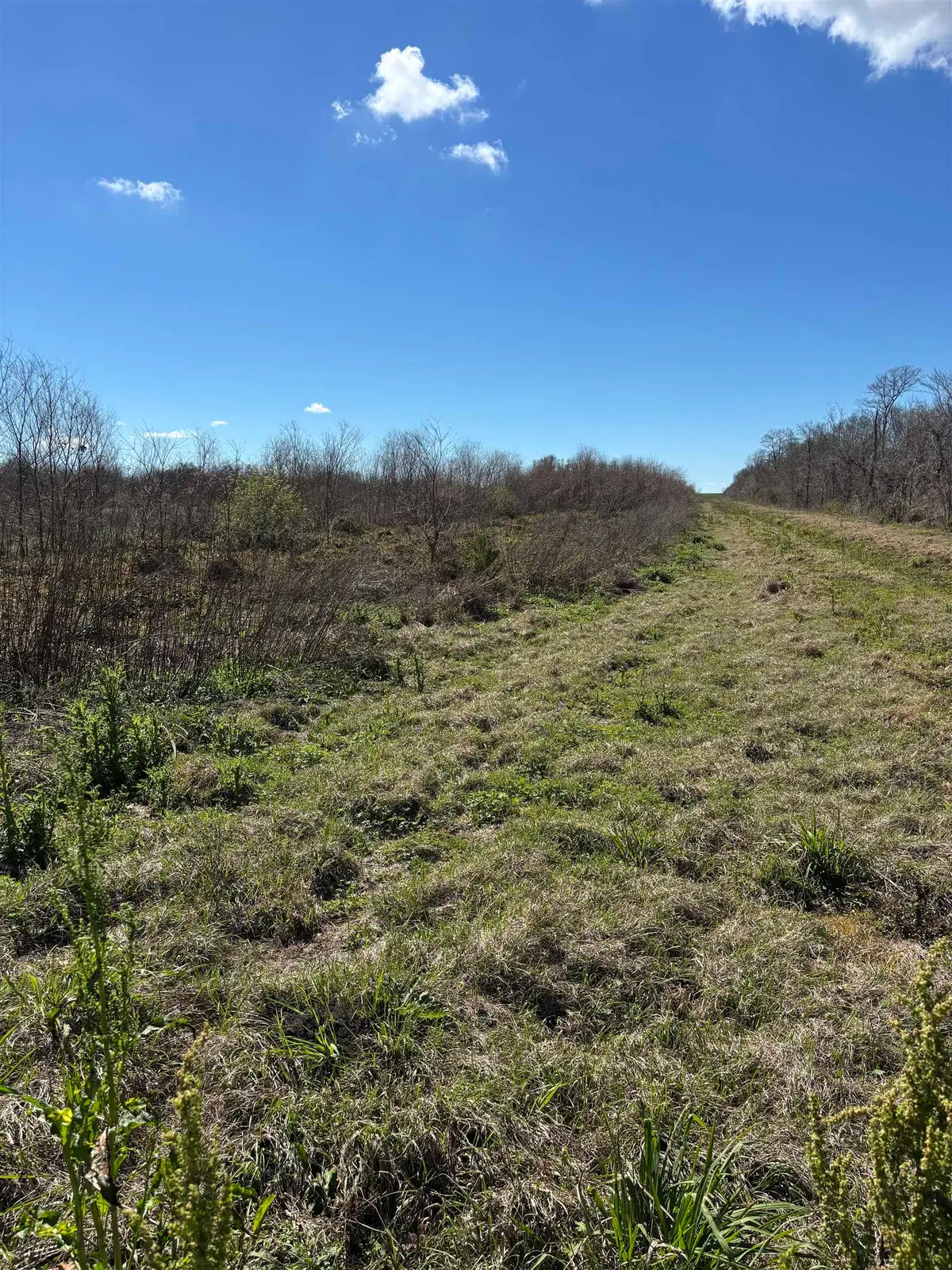 Hwy 3235 Cut Off, Cut Off, LA 70345 - #1