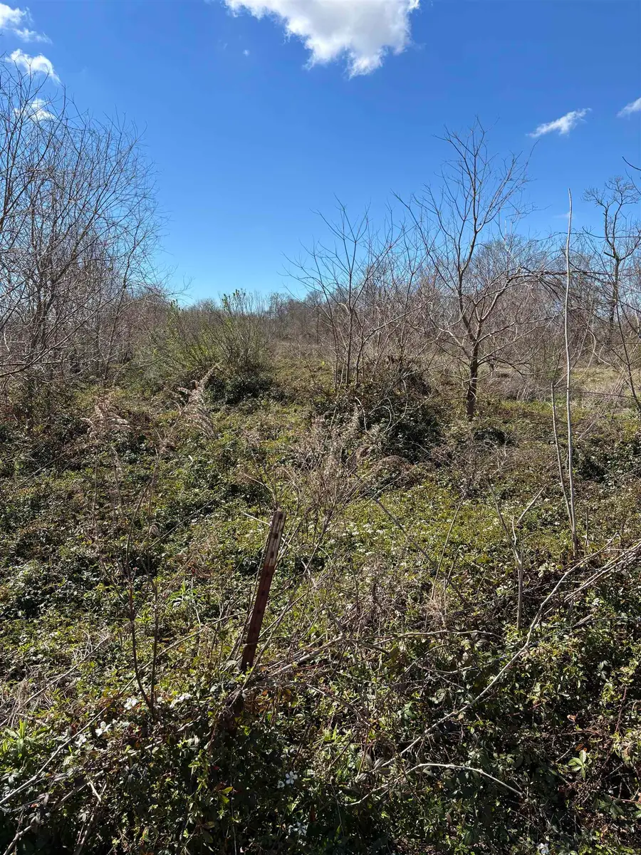 Hwy 3235 Cut Off, Cut Off, LA 70345 - #2