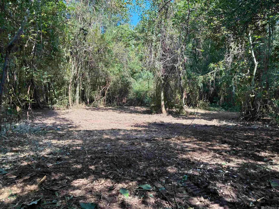 7889 Solitude Rd, Saint Francisville, LA 70775 - #3