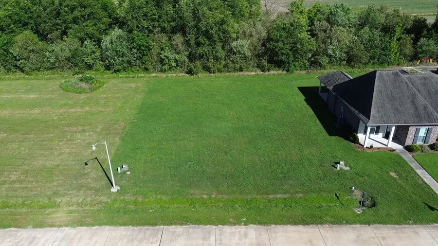 287 Le Belle Maison Drive, Raceland, LA 70301 - #3