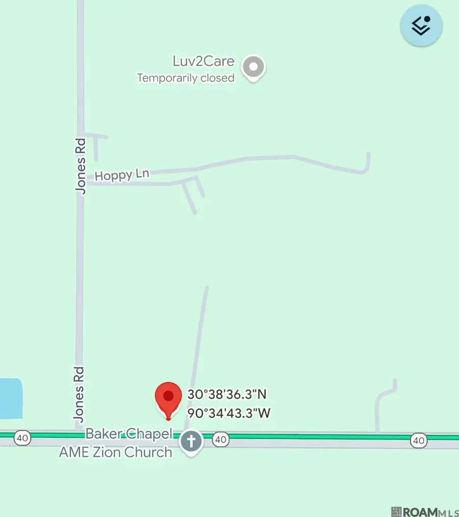 29189 W La-40 Highway, Independence, LA 70443 - #2