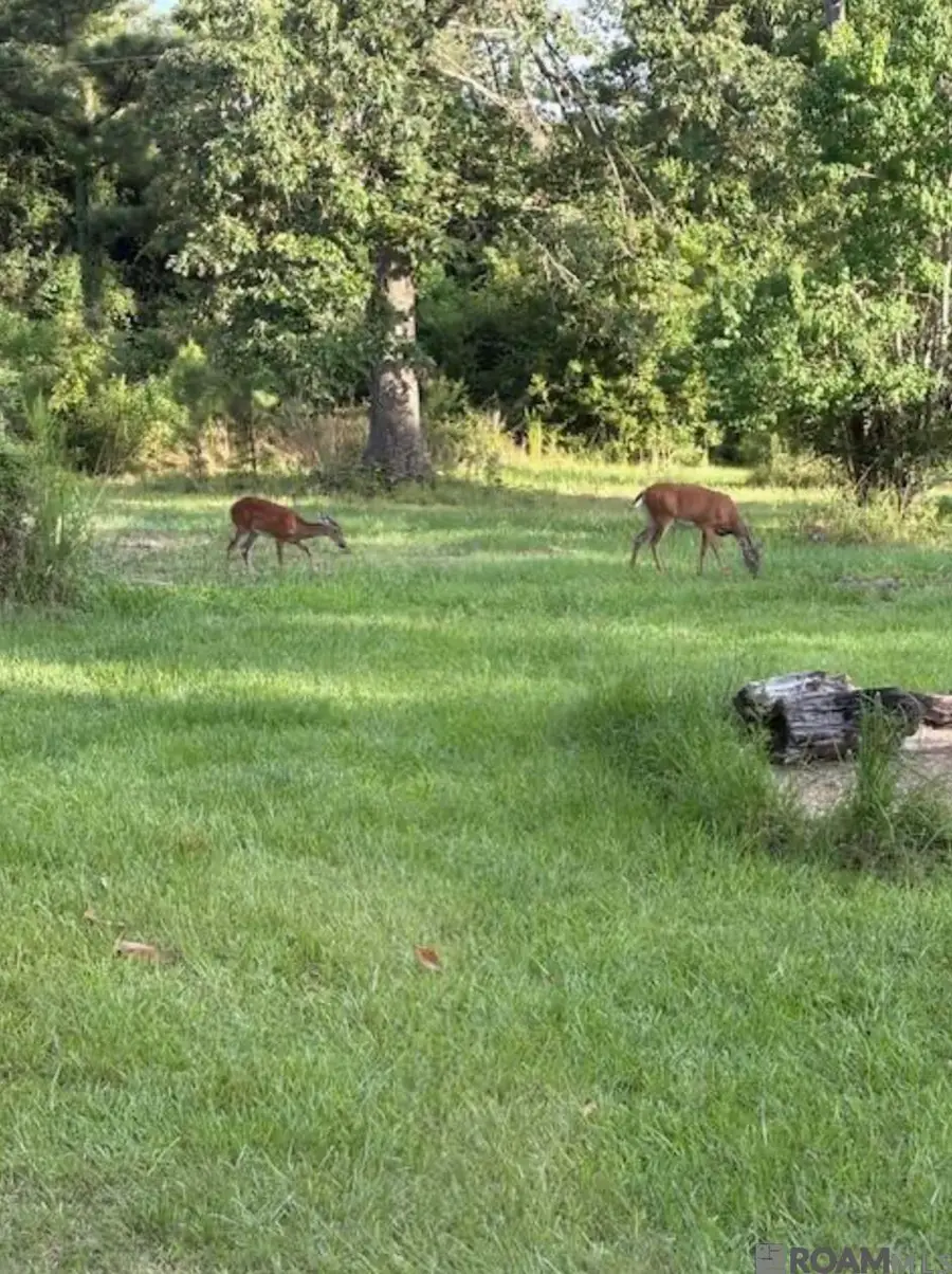 TBD La Hwy 22, Springfield, LA 70462 - Image #2