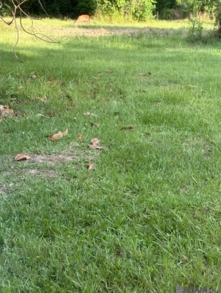 TBD La Hwy 22, Springfield, LA 70462 - Image #3