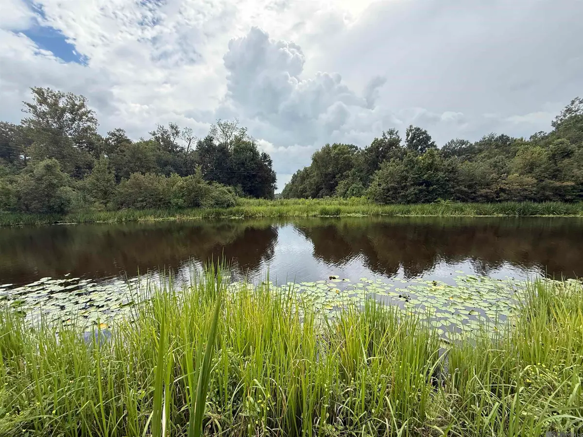 6-Z-1-B Pertuis Rd, Saint Amant, LA 70774 - Image #1