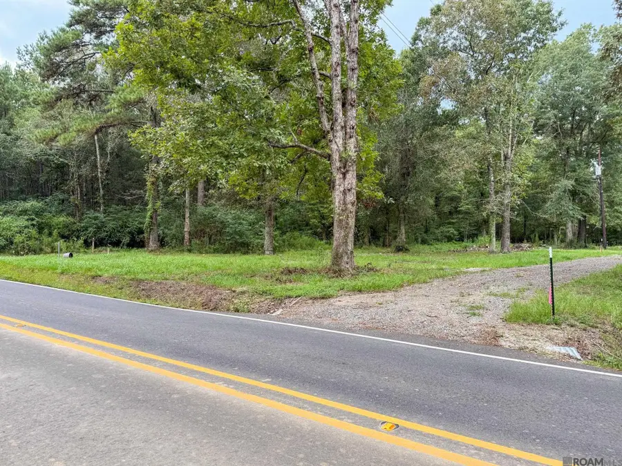20131 Perrilloux Rd, Livingston, LA 70754 - #3