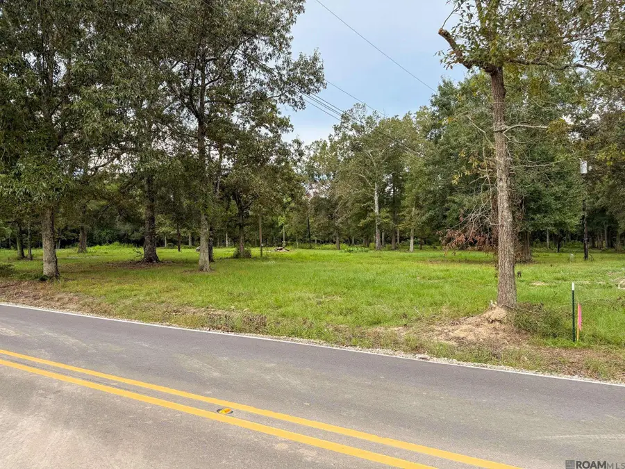 20211 Perrilloux Rd, Livingston, LA 70754 - #3