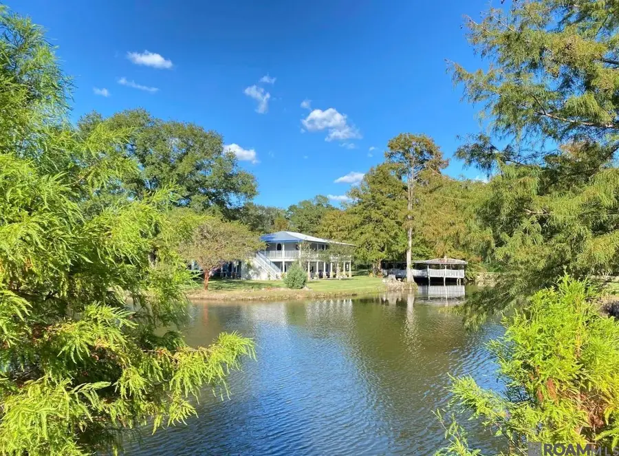 32350 Burgess Road Ext, Denham Springs, LA 70706 - #3