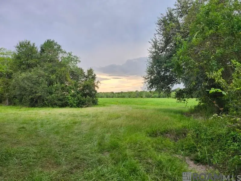 undetermined Rainbow, Gueydan, LA 70542 - Image #2