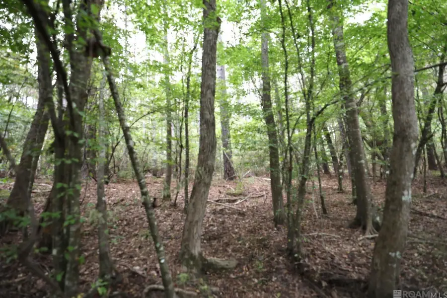 211 Fred Rogers Road, Montgomery, LA 70394 - Image #2