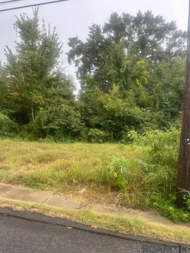 616 Lorri Burgess Ave, Baton Rouge, LA 70802 - Image #2