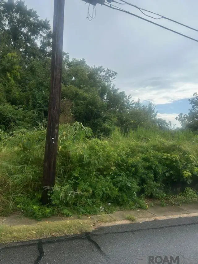 616 Lorri Burgess Ave, Baton Rouge, LA 70802 - Image #3