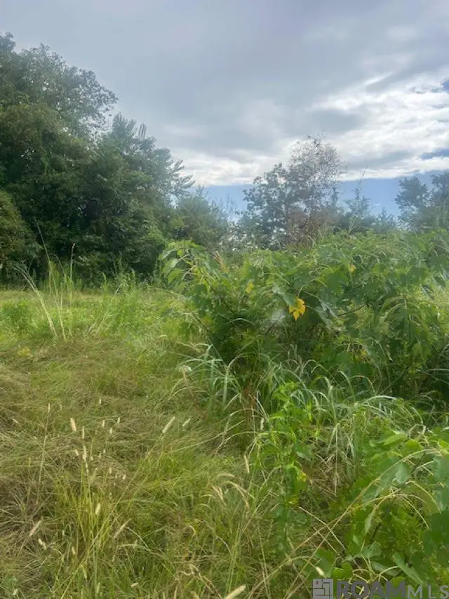 624 Lorri Burgess Ave, Baton Rouge, LA 70802 - Image #3