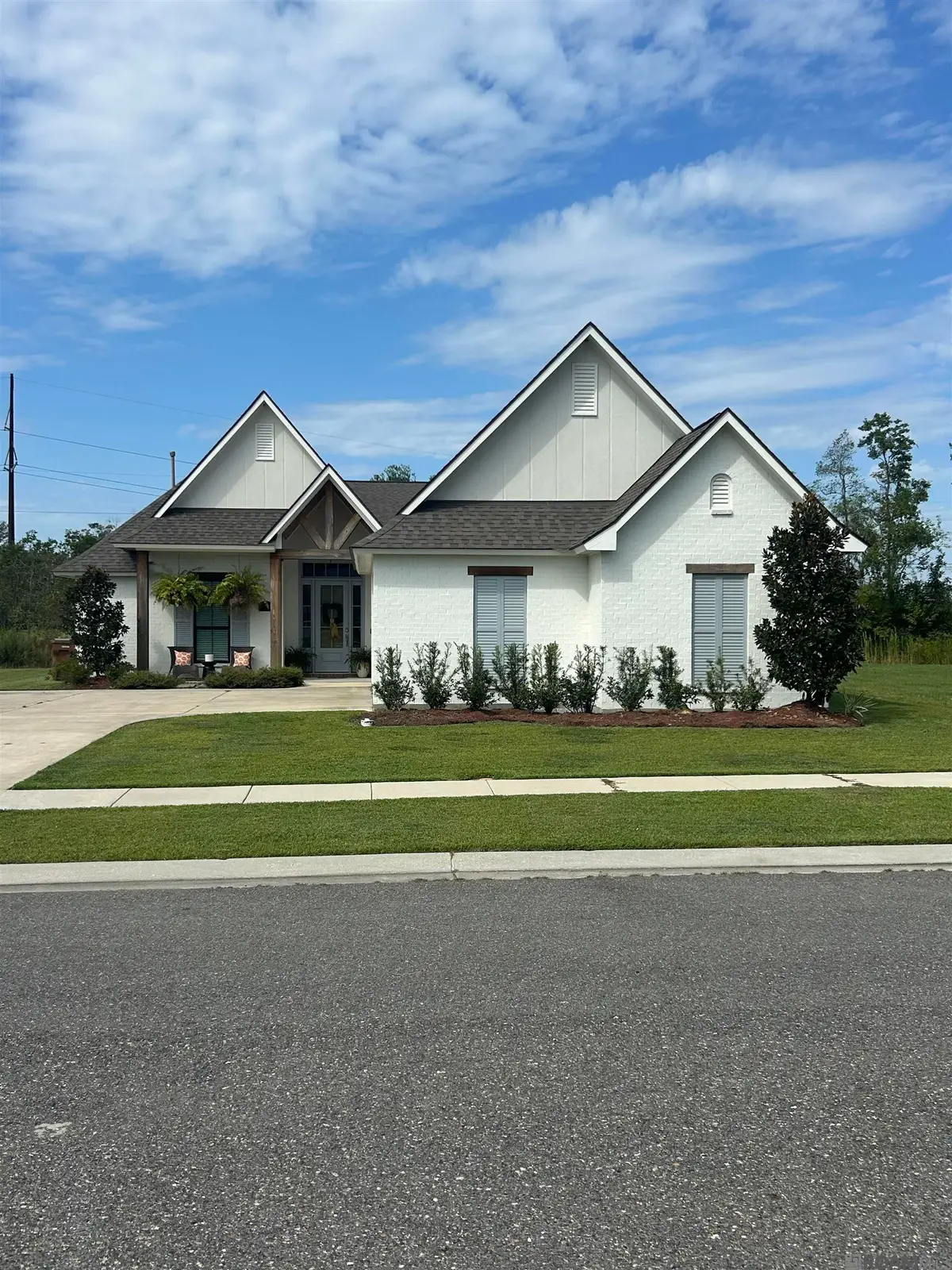 17449 Bull Rush Ave, Prairieville, LA 70769 - Image #1