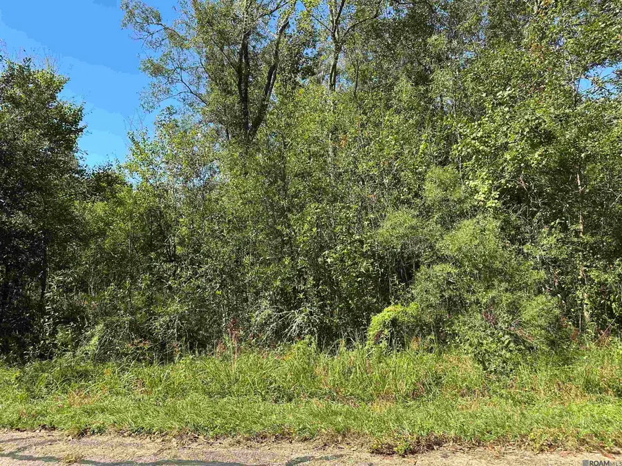 18943 Austin St, Springfield, LA 70462 - Image #2