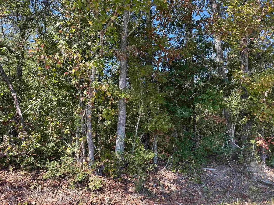 18943 Austin St, Springfield, LA 70462 - Image #3