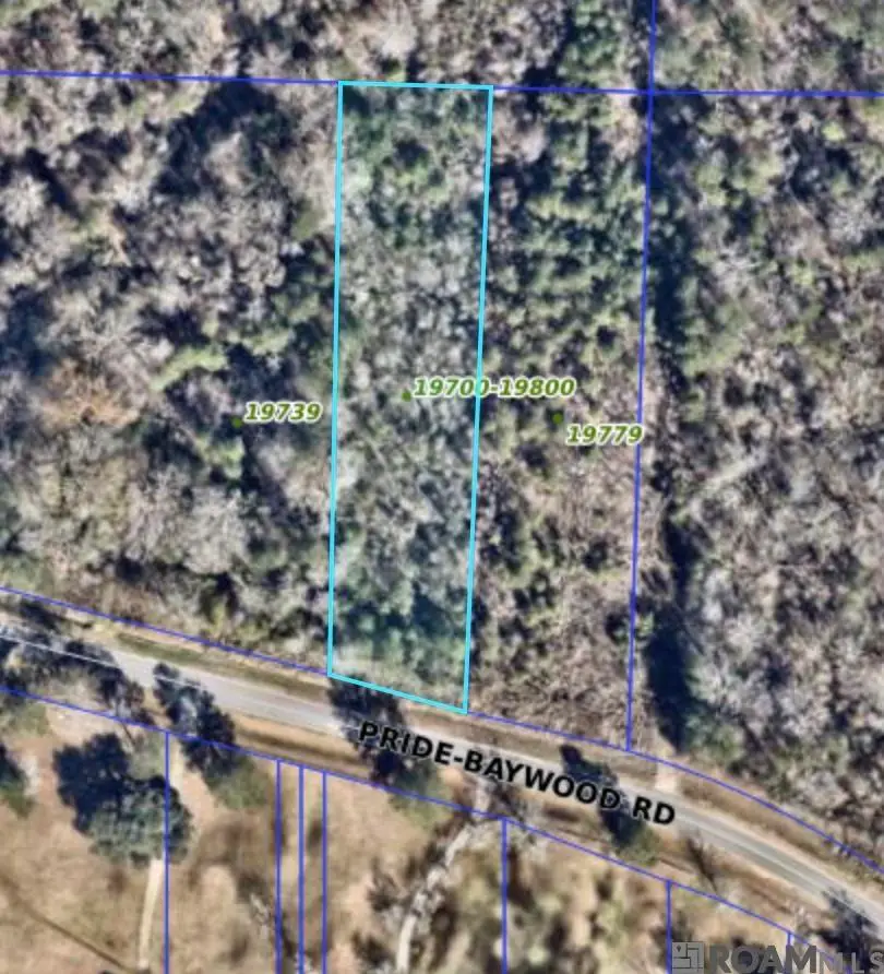 19759 Pride-baywood Rd, Greenwell Springs, LA 70739 - Image #1