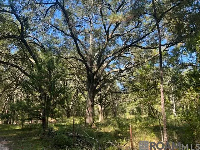 122 Carl W Ln, Greensburg, LA 70441 - Image #2