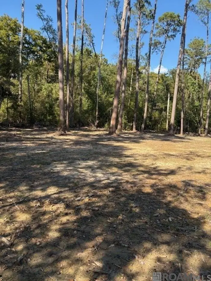 24063 La Hwy 22 Highway, Maurepas, LA 70449 - Image #2