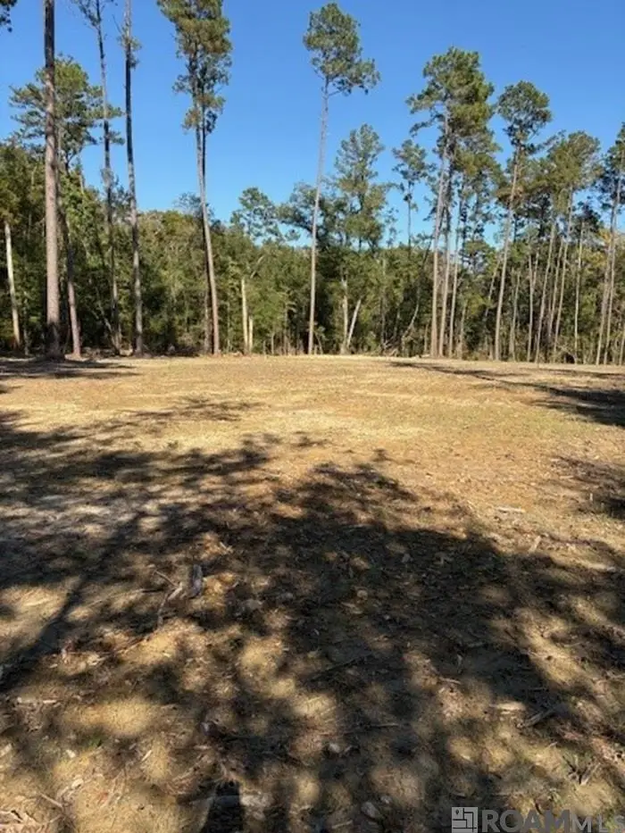 24063 La Hwy 22 Highway, Maurepas, LA 70449 - Image #3