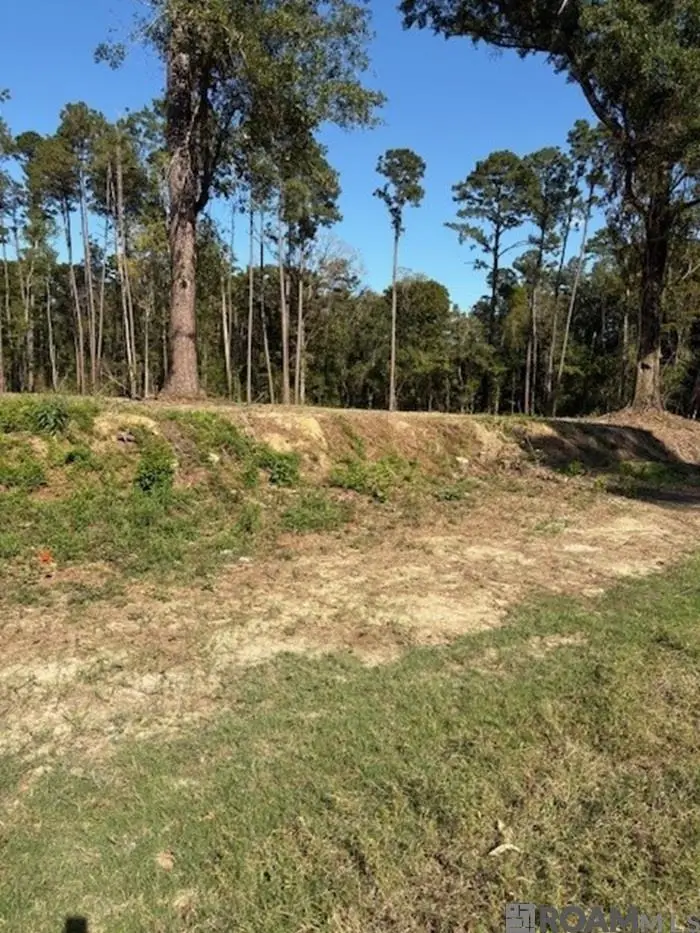 24087 La Hwy 22 Highway, Maurepas, LA 70449 - Image #2