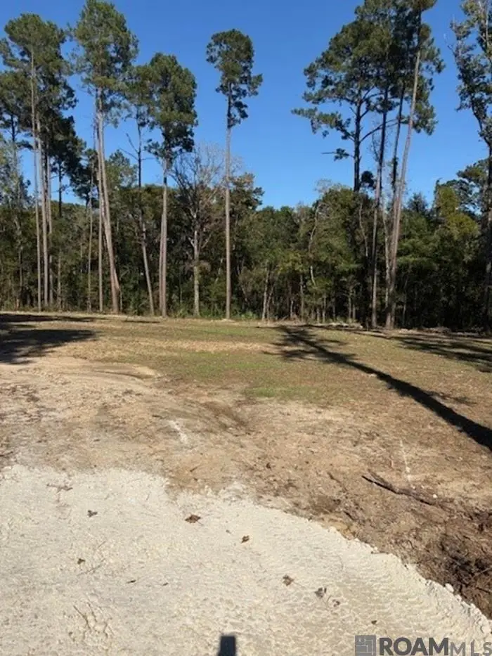 24087 La Hwy 22 Highway, Maurepas, LA 70449 - Image #3