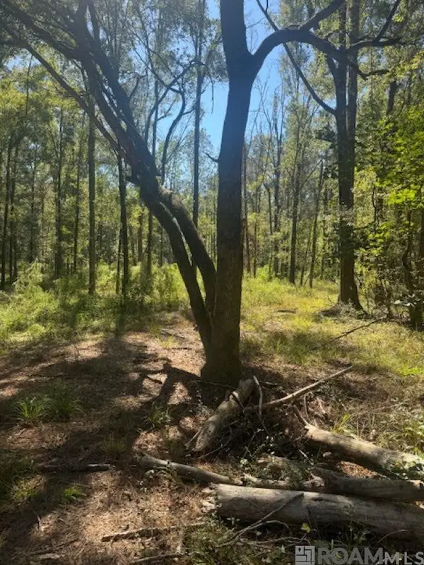 Otto Odom Cir, Denham Springs, LA 70706