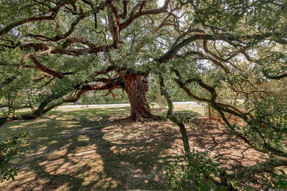 38327 Cornerview Rd, Gonzales, LA 70737 - Image #1