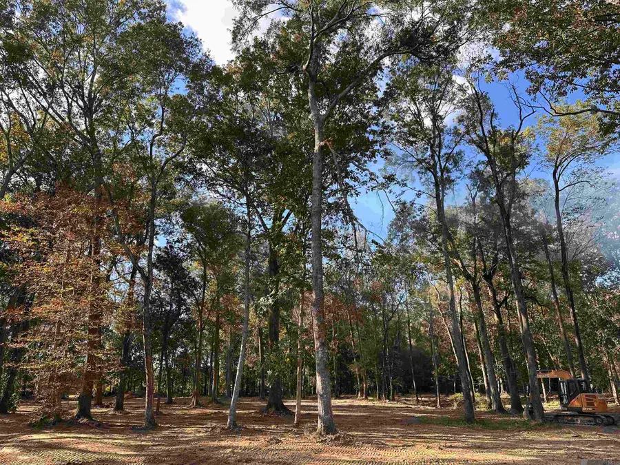 tbd Lemon Rd, Slaughter, LA 70777 - Image #2