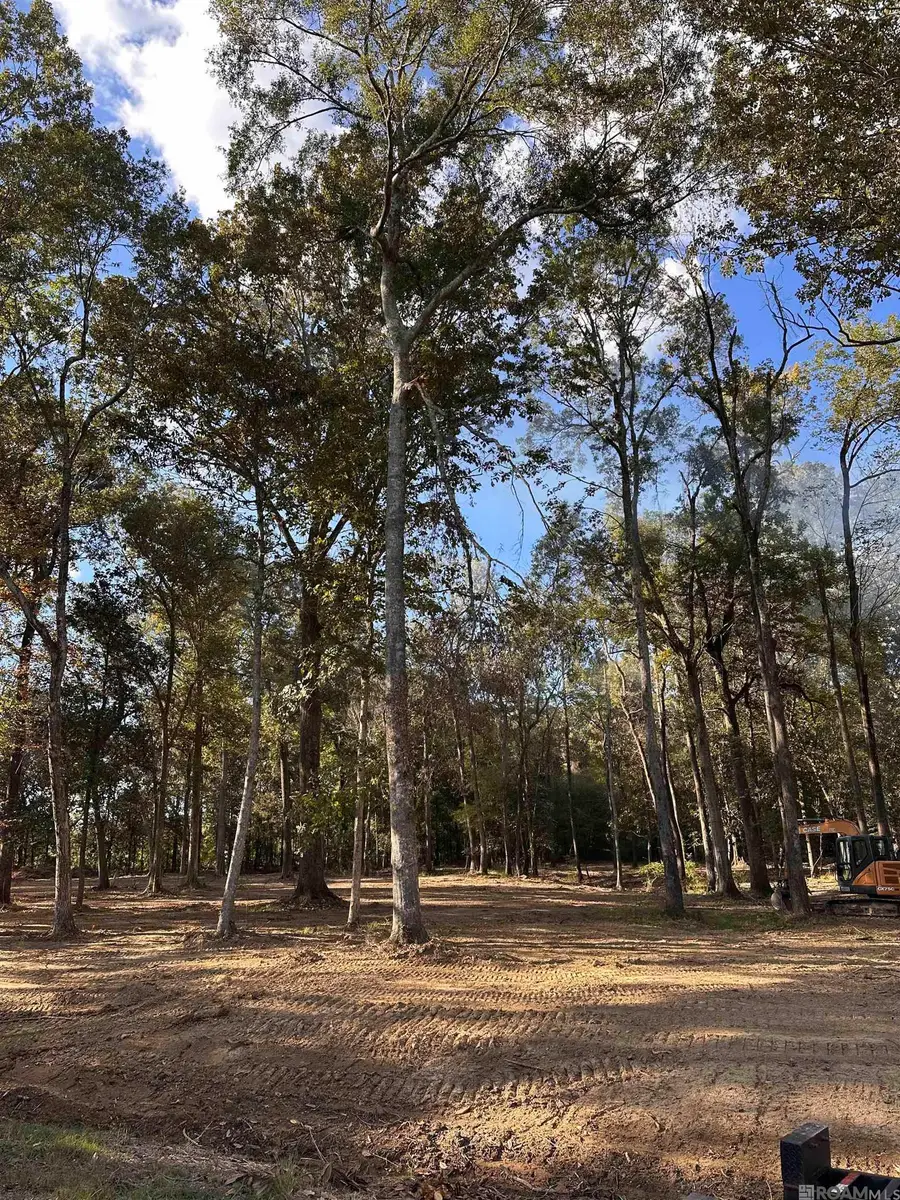 tbd Lemon Rd, Slaughter, LA 70777 - Image #3