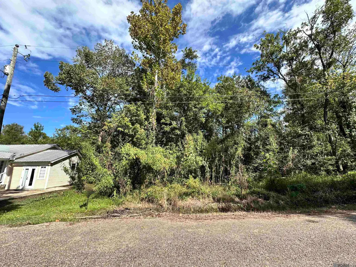 Lot # 78 Phillips Rd, Saint Amant, LA 70774 - Image #1