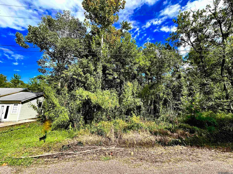 Lot # 78 Phillips Rd, Saint Amant, LA 70774 - Image #3