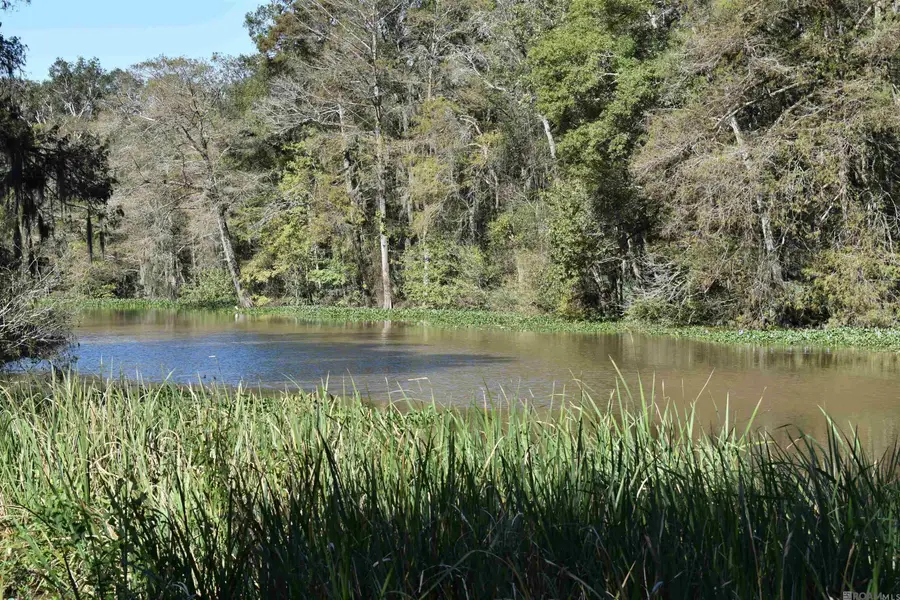 17206 La Hwy 431, Prairieville, LA 70769 - Image #2