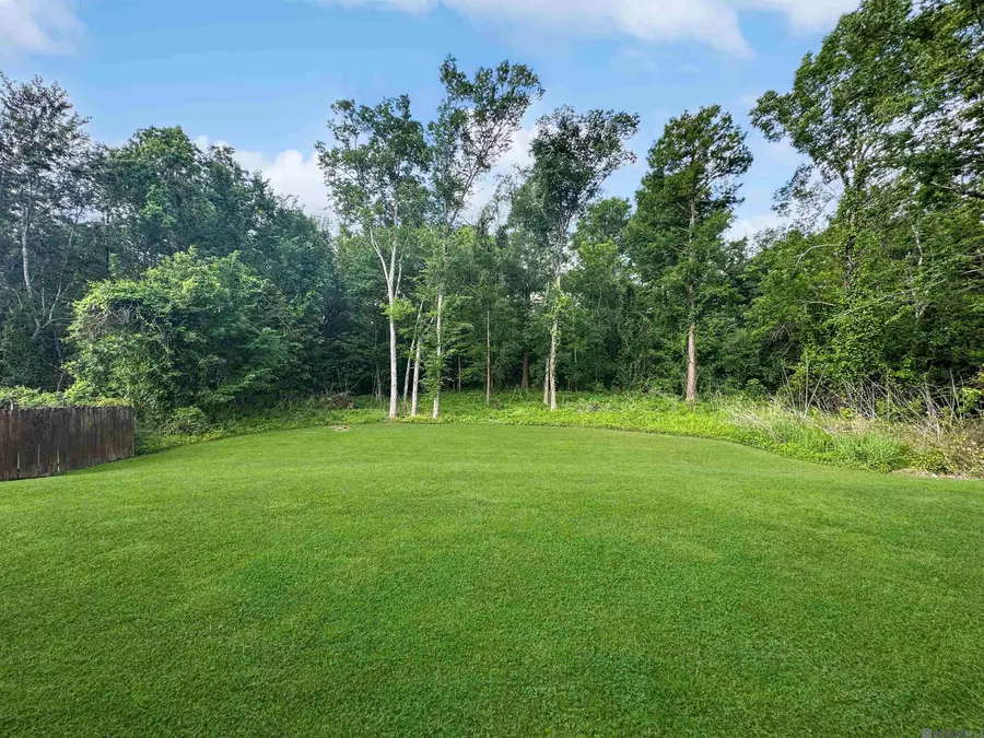 18103 Forest Hills Dr, Prairieville, LA 70769 - Image #2