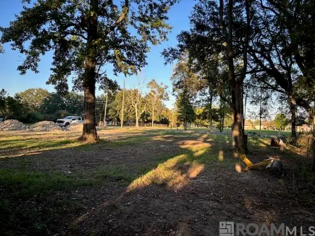 16393 Stewart Rd, Prairieville, LA 70769 - Image #1