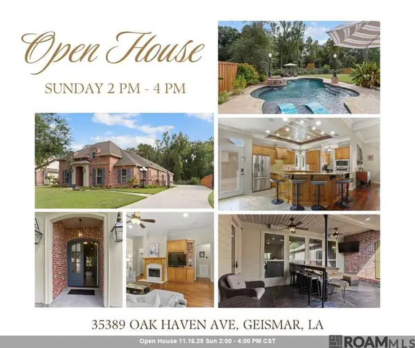 35389 Oak Haven Ave, Geismar, LA 70734