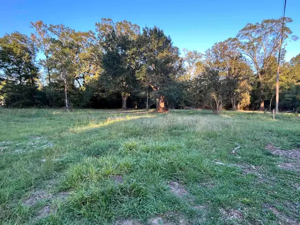 B-7 Eathern Martin Rd, Livingston, LA 70754