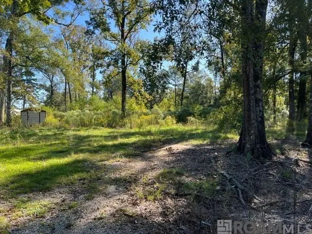 29960 Henderson Ln, Walker, LA 70785 - Image #2