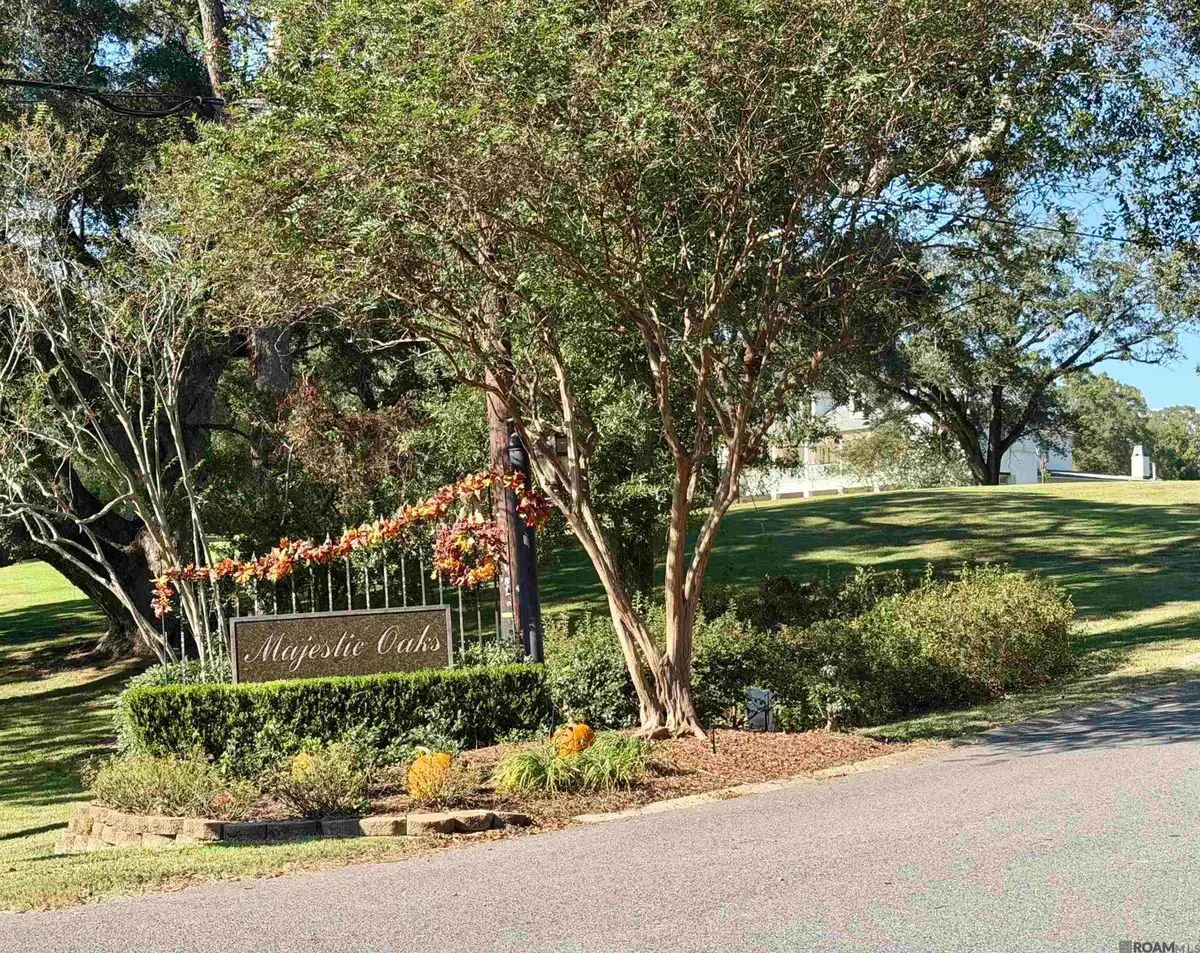 36 N Stately Oaks Dr, Saint George, LA 70810 - #1