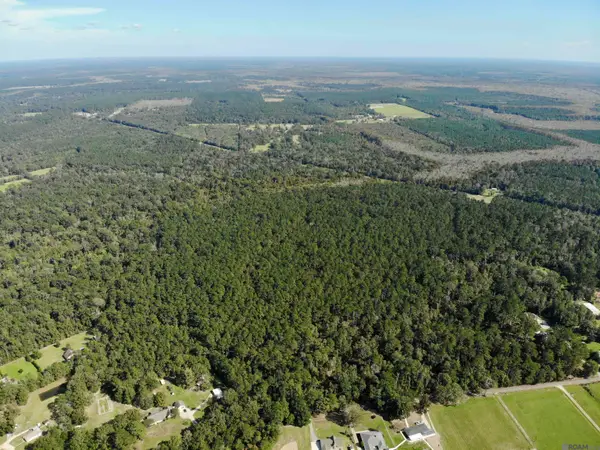 TBD Guitreau Rd, Livingston, LA 70754