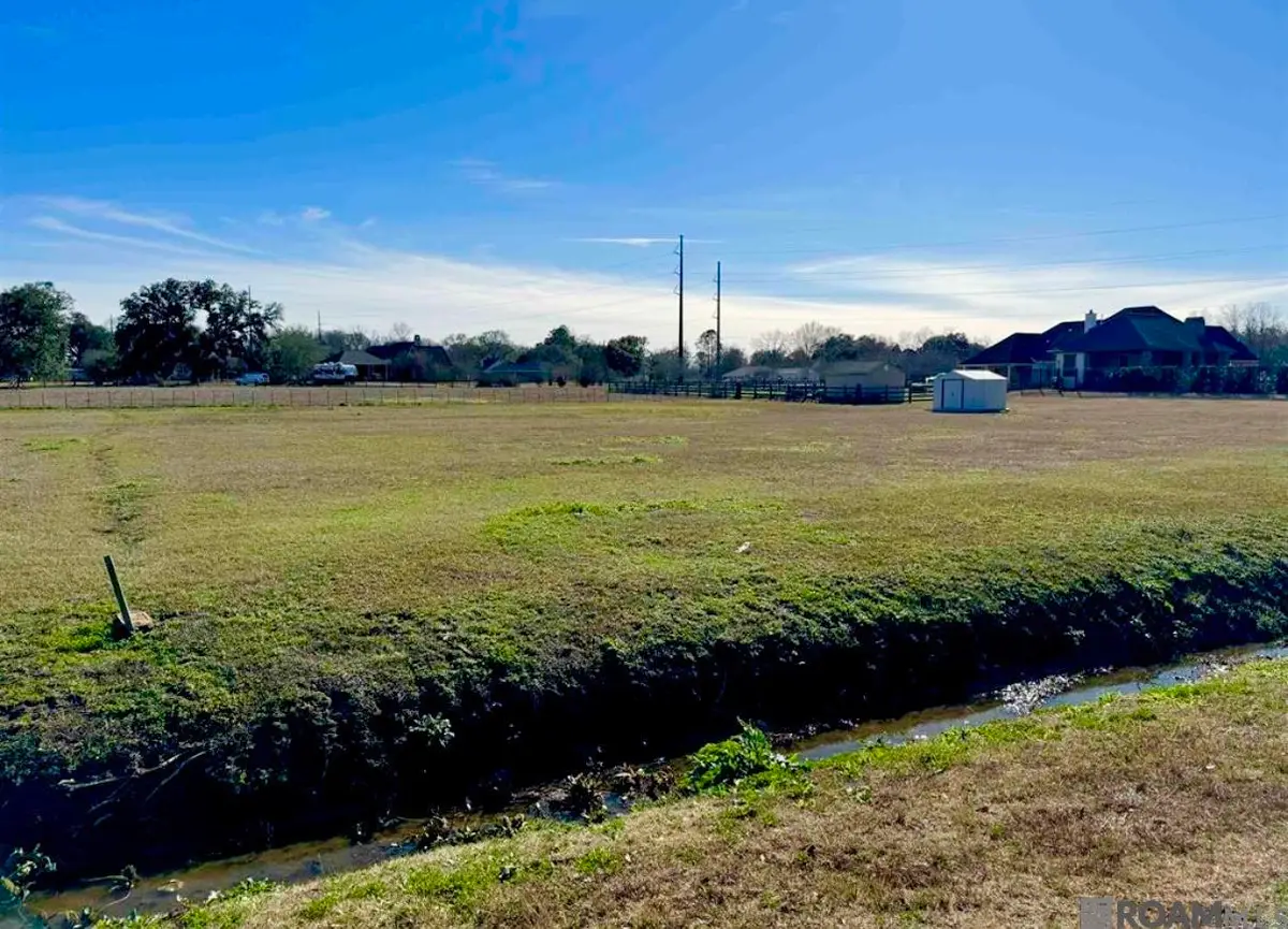 16424 Ronnie Rd, Prairieville, LA 70769 - #1
