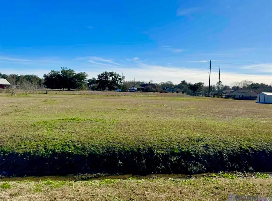 16424 Ronnie Rd, Prairieville, LA 70769 - #2