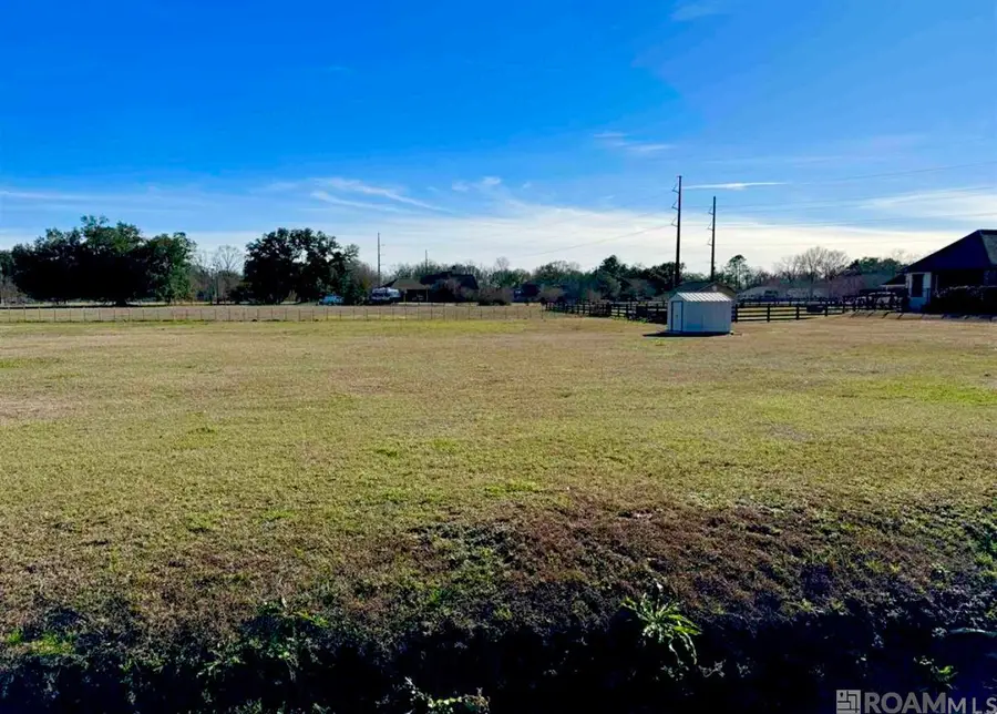 16424 Ronnie Rd, Prairieville, LA 70769 - #3