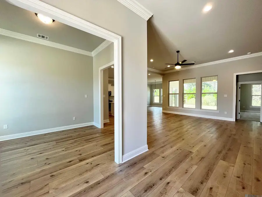 8849 Lyndanne Drive, Denham Springs, LA 70726 - #3
